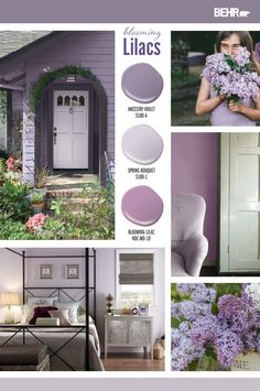 the color scheme for lilacs is shown