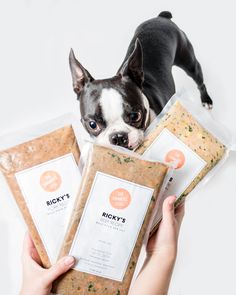 a small dog standing next to three packages of food in its owner's hands