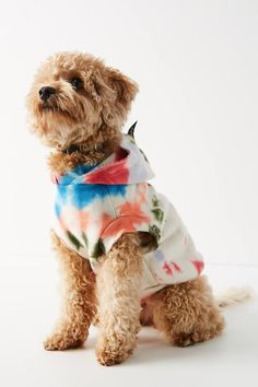 a small dog wearing a tie dye shirt