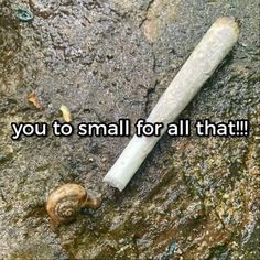 there is a snail on the ground next to a bottle that says, you to small for all that