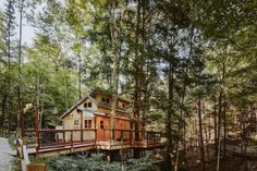 a wooden cabin in the woods surrounded by trees and shrubs with a walkway leading up to it