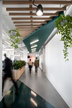 two people walking down a long hallway with plants on either side of the walkway and hanging lights above them