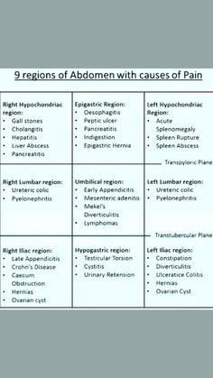 the four regions of adomen with cause of pain and their associated functions, including