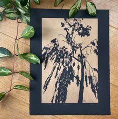 an image of a tree on a piece of paper next to some plants and leaves