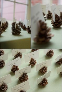 pine cones with place cards are arranged on a table