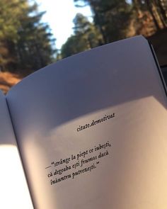 an open book sitting on top of a wooden table next to a forest filled with trees