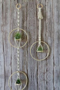 three hanging planters with plants in them on a wooden wall next to ropes and hooks