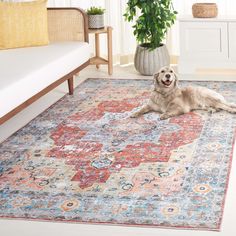 a dog laying on top of a rug in a living room