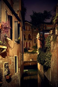 an alley way with buildings and plants growing on the side of it at night time