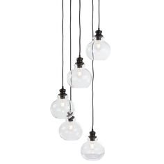 five clear glass globe pendant lights hanging from a black cord on an isolated white background