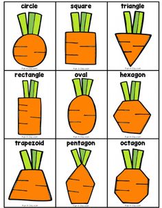 the parts of a carrot cut and pasted to make it look like they are in different