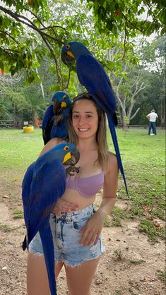 a woman holding two blue parrots on her shoulder while standing under the shade of a tree