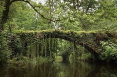 an old stone bridge over a river surrounded by lush green trees and bushes on either side