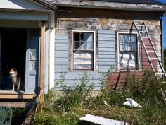 a dog sitting in the doorway of an old house with a ladder on it's side