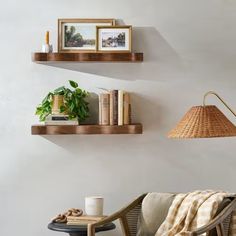 two shelves on the wall with books, plants and other things sitting on top of them