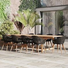 an outdoor dining table with six chairs and a potted plant in front of it