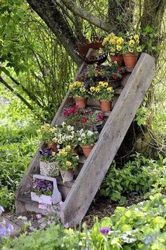 an old wooden ladder is filled with potted plants and flowers in the garden area