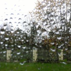 rain is falling on the grass and trees in front of a metal fence with white posts