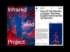 an image of the seed project and one of the world's largest - running experiments sends up sprouts