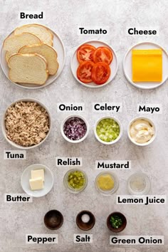 the ingredients to make this sandwich include cheese, tomatoes, onion, bread and mayonnaise