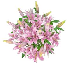 a bouquet of pink lilies on a white background