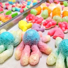 colorful candies are on display at a candy store in the usa, including one jellyfish