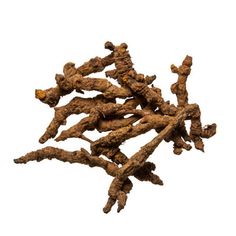 Plum Dragon Herbs is your online Chinese medicine store carrying bulk and wholesale herbs. Browse our selection of traditional medicinal herbs online today.