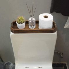 a toilet with two rolls of toilet paper on the tank and a succulent plant