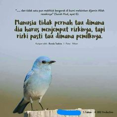 a blue bird sitting on top of a wooden post with a quote written below it