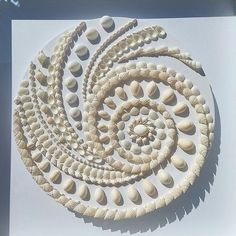 an intricately designed piece of art made out of seashells is displayed on a white background