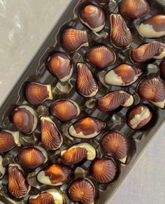 there are many shells in the chocolate tray