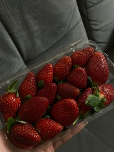 a person holding a plastic container full of strawberries on the couch in front of them