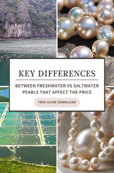 Decode the value of pearls with our in-depth analysis of freshwater vs. saltwater varieties in our comprehensive blog post. Explore the fascinating world of pearls and how their origins shape their worth. Discover the hidden aspects that set these lustrous gems apart and understand why they are treasured by enthusiasts. Whether you're a seasoned pearl lover or new to the world of pearls, this post offers valuable insights into their unique qualities. Fresh Water, Blog Post