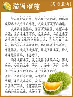 描写榴莲Description of Durian Learn Chinese, China