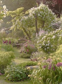 a garden filled with lots of different types of flowers and plants next to a bench