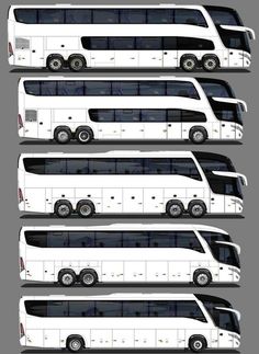 several white buses are lined up in a row and one is facing the same direction