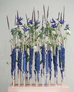 blue flowers are arranged on sticks in front of a white wall and behind them is a wooden stand