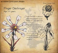 an old paper with flowers and other things on it's side, including the words finger detoroer