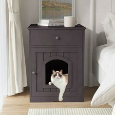 a cat is peeking out of a small cabinet