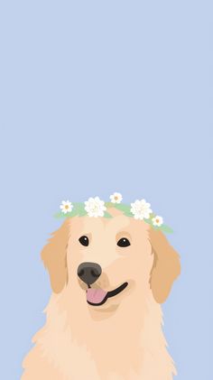 a dog with a flower crown on its head is shown in front of a blue background