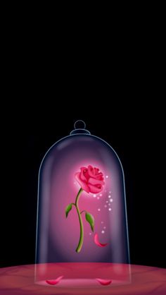 a pink rose under a glass dome with water droplets on the bottom and light coming from behind it