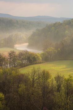 the fog is rising in the valley and trees are on the other side of the field