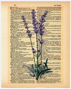 an old book page with purple flowers on it