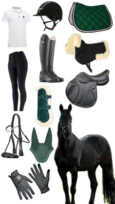 several different types of equestrian equipment including boots and gloves