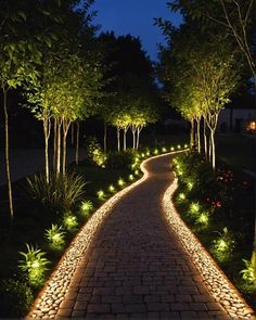 a pathway lit up with lights in the middle of some trees and bushes at night