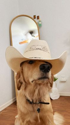 a golden retriever dog wearing a cowboy hat in front of a mirror and looking at its reflection