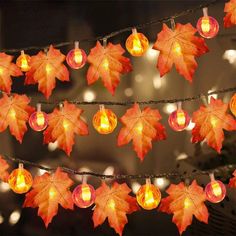 Halloween 3M 20Led Pumpkin String Lights Maple Leaf Decor, Post Mailbox, Thanksgiving Garland, Outdoor Thanksgiving, Dekorasi Halloween, Led Fairy String Lights, Pumpkin Ornament, Pumpkin Garland, Labu Halloween