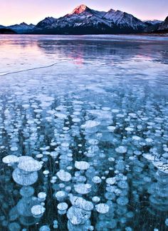 ice flakes are floating on the surface of water with mountains in the back ground