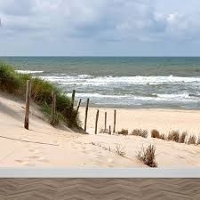 an empty beach with waves coming in from the ocean and grass growing on the sand