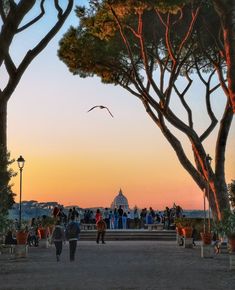 people are walking around in the park at sunset